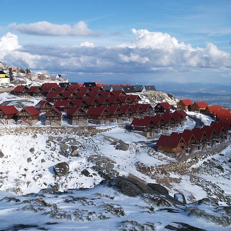 Luna Chalets Da Montanha - Serra Da Estrela Covilhã Екстериор снимка